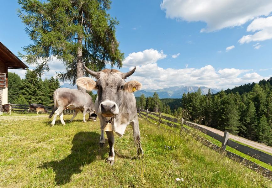 pennhof-tiere-florian-berger-011