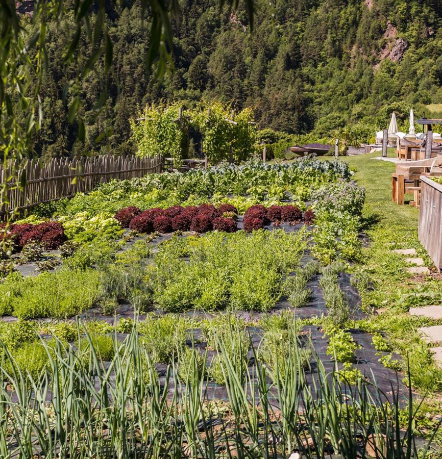 -2018-06-18-garten-bilder-pennhof-komprimiert-13