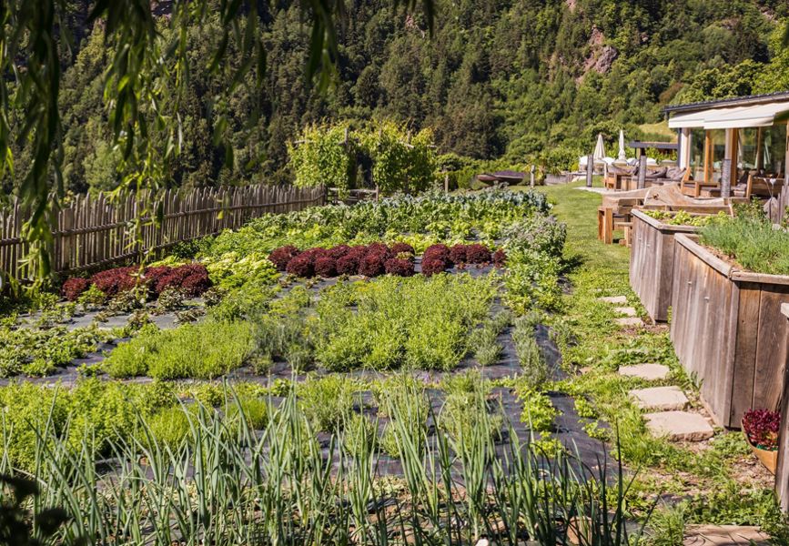 -2018-06-18-garten-bilder-pennhof-komprimiert-13